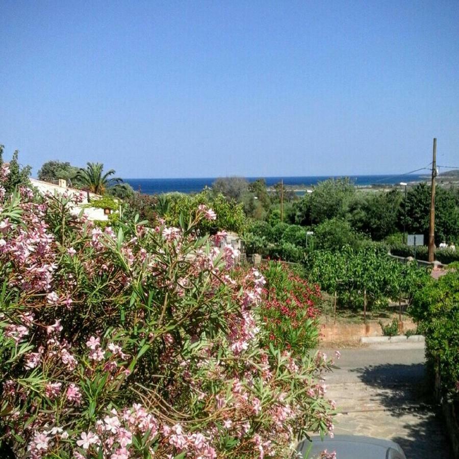 Вілла Cala D'Ambra E Ogliastra Сан-Теодоро Екстер'єр фото